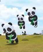 图片名称 图片名称