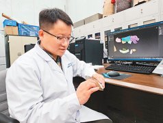 图片名称